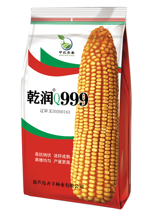 乾潤(rùn)Q999